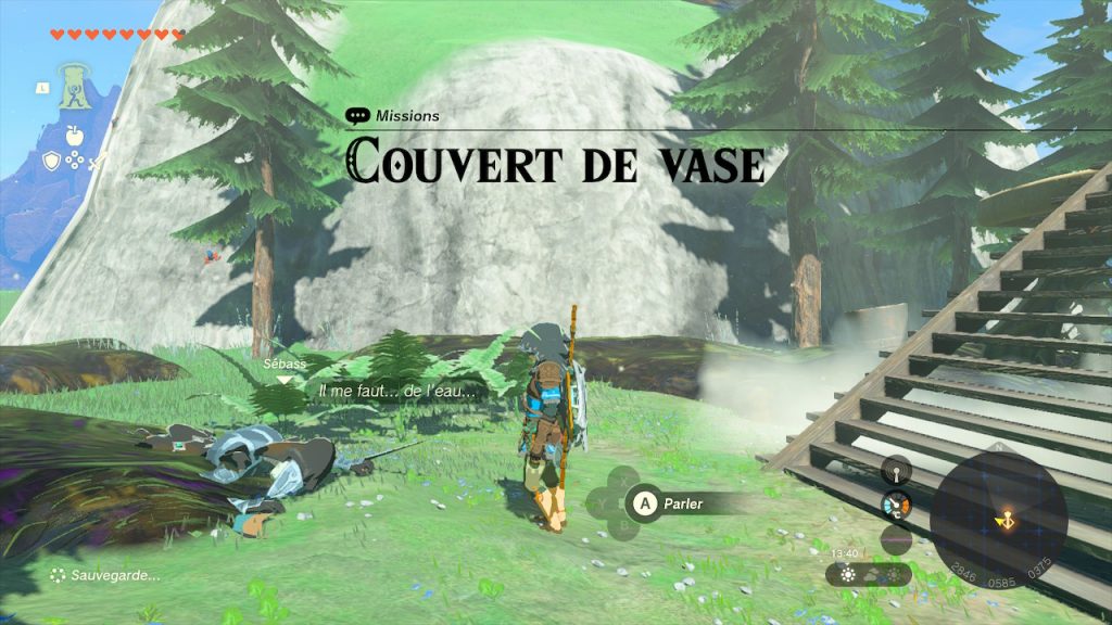 Couvert de Vase Zelda