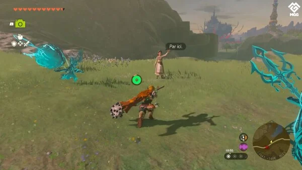 Personne en Détresse Zelda