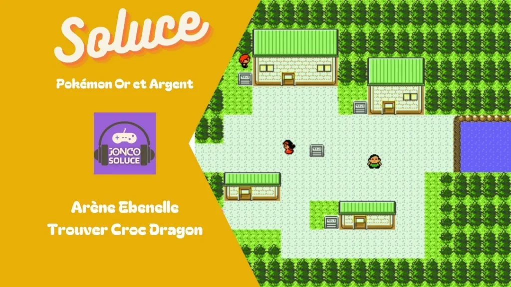 Objets Pokémon Or Argent