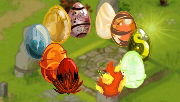 Les Succès par Zone